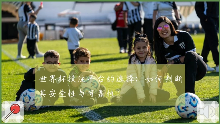 世界杯投注平台的选择：如何判断其安全性与可靠性？