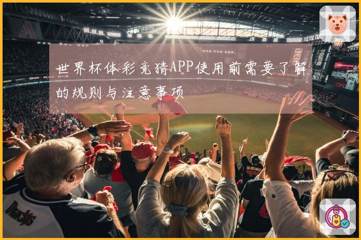 世界杯体彩竞猜APP使用前需要了解的规则与注意事项