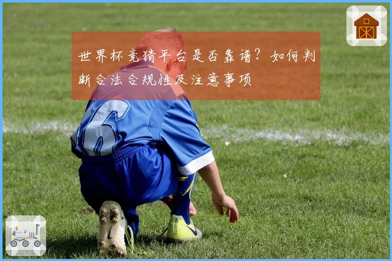 世界杯竞猜平台是否靠谱？如何判断合法合规性及注意事项